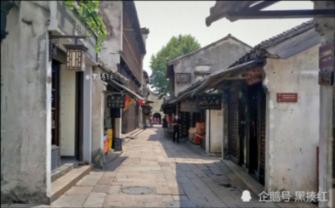 呆萌动物园